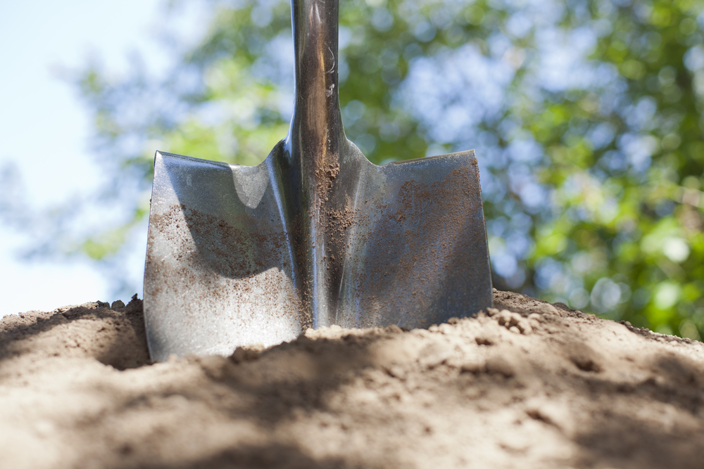 Best Way To Cut Through Tree Roots The Definitive Approach Home Arise