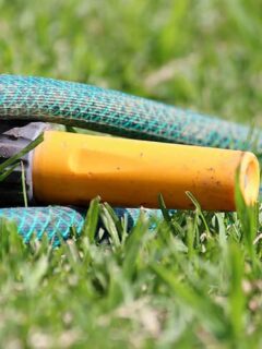 Picture of garden hose