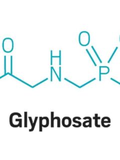 How Much Glyphosate Per Gallon