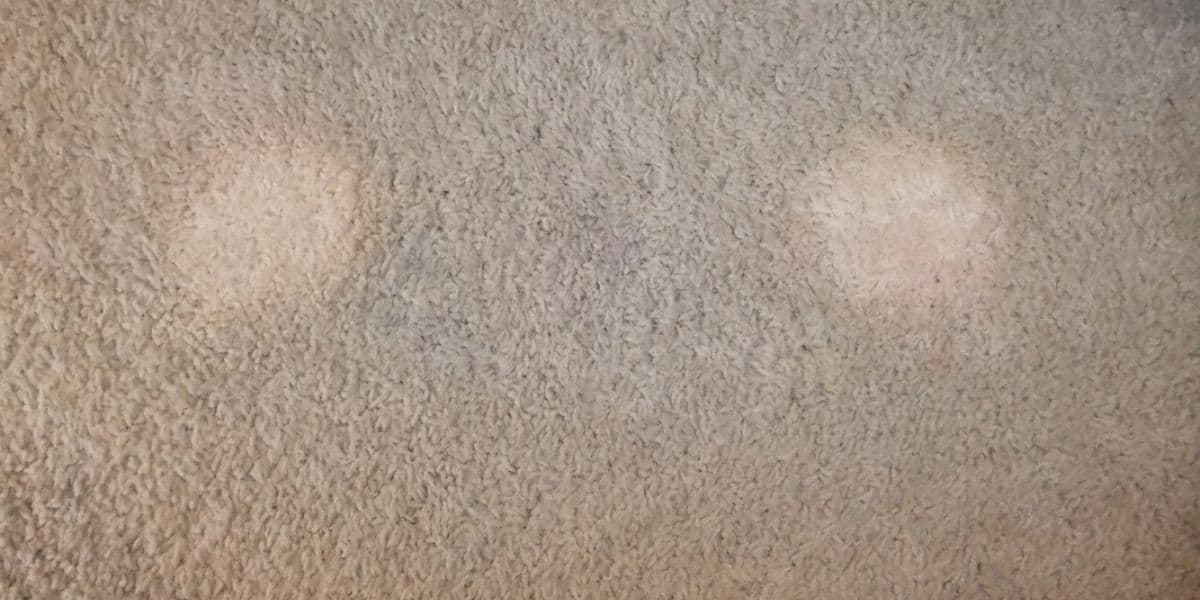 How to Get Bleach Stains Out of Carpet