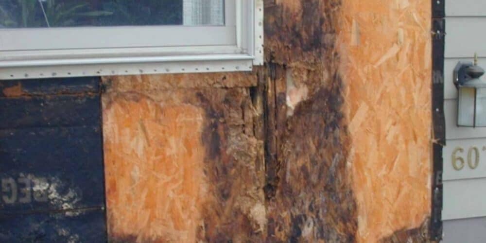 Rotten Plywood Under Siding Everything You Should Know Home Arise