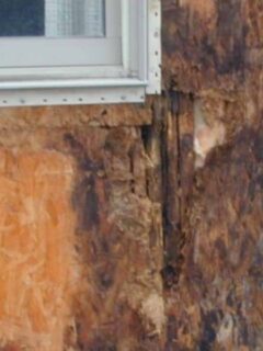 rotten plywood under siding