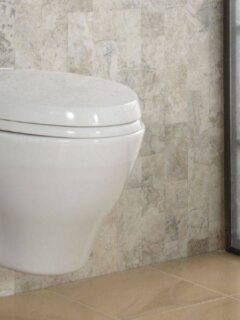 wall hung toilet problems