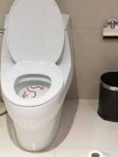 worms in toilet