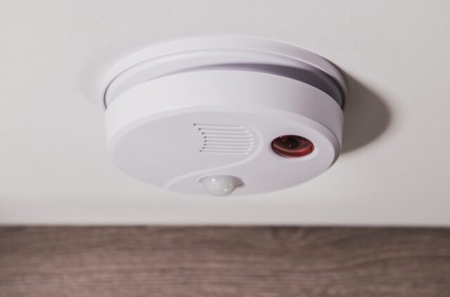 Oven Sets Off Carbon Monoxide Detector: What to Do? - Home Arise