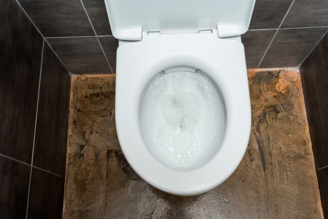 what-causes-black-soot-on-toilet-seats-3-common-reasons-home-arise