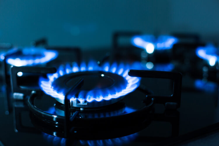 Gas Oven Turns On By Itself: 4 Reasons With Solutions 1