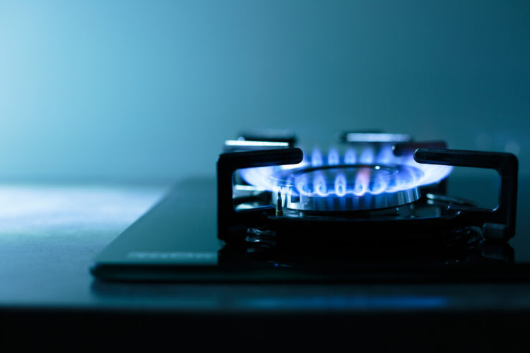 Gas Oven Turns On By Itself: 4 Reasons With Solutions 2