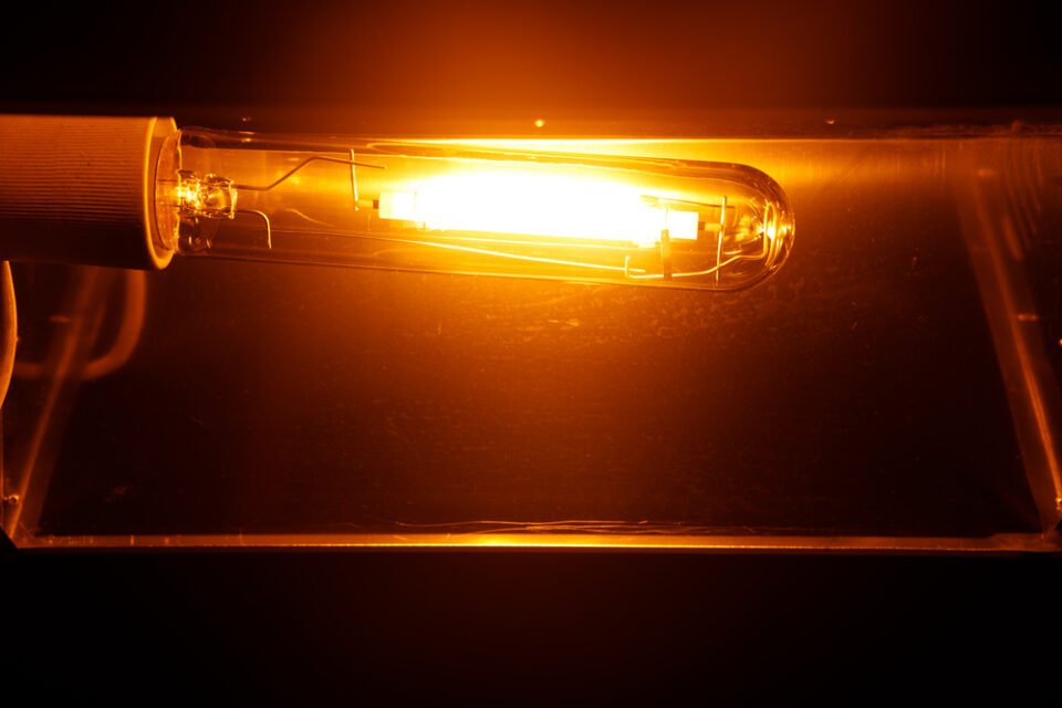 How to Tell if a HighPressure Sodium Bulb is Bad [5 Ways] Home Arise