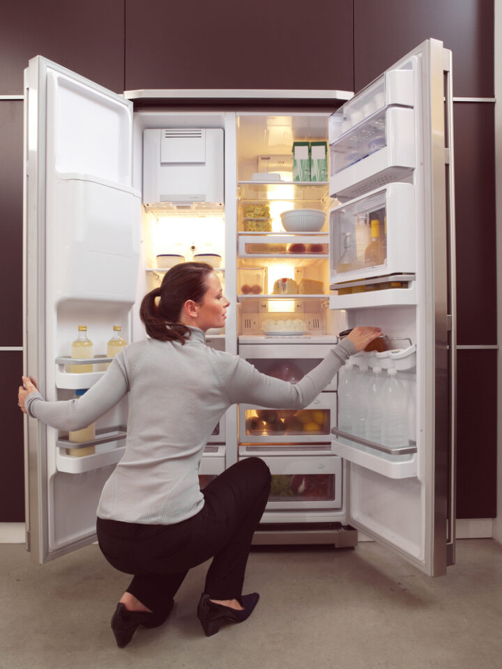 Monogram GE Refrigerator vs SubZero Which Refrigerator Offer the Most