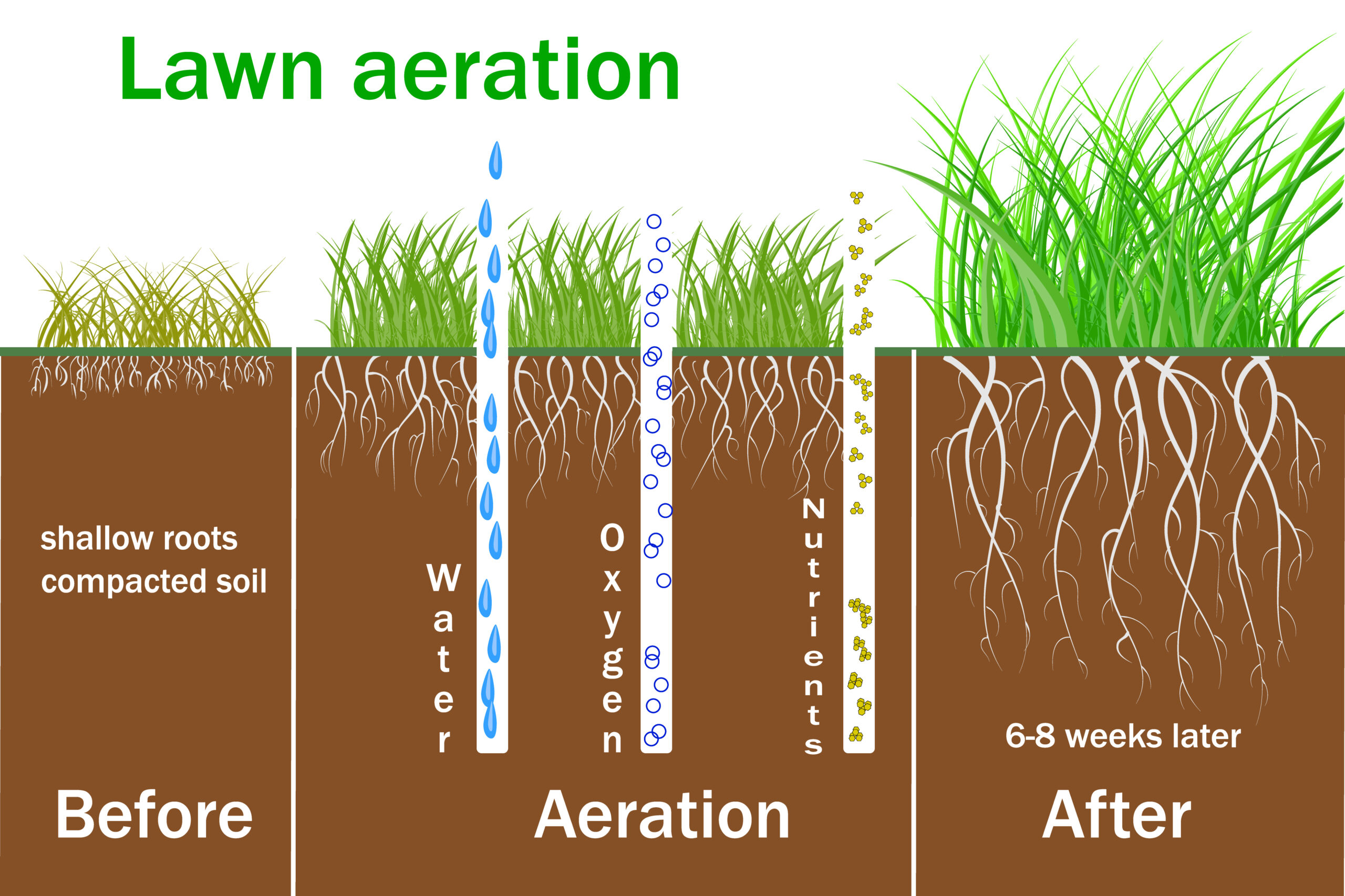 Prepare Your Lawn for Spring A Helpful 8Step Guide Home Arise