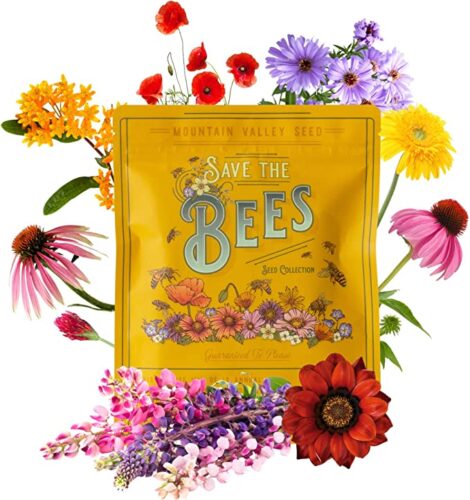 save the bees seed kit