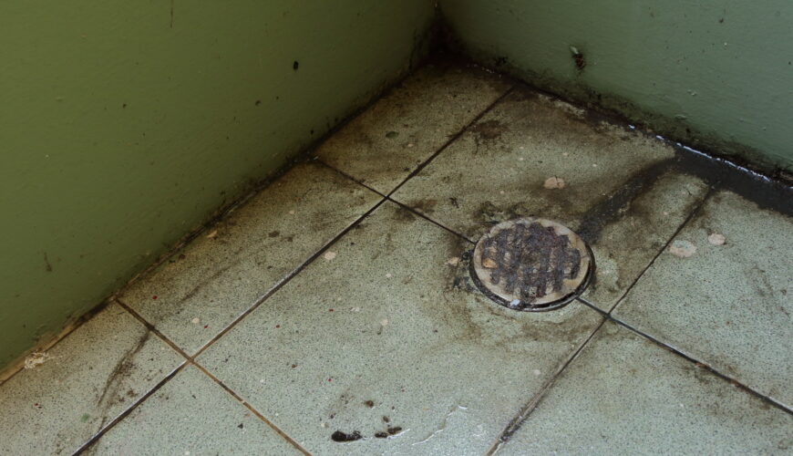 Basement Drain Backing Up After Shower: 7 Common Causes and Effective Solutions 4